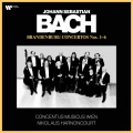 Nikolaus Harnoncourt、concentus musicus wien - II. Adagio