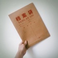 苏刘SULIU - 风犬少年的天空