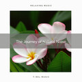 Nature Sounds Radio - Recharge of Clear Rain Forest Noises