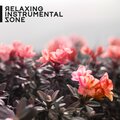 Relaxing Music Oasis - Nights Without Anxiety