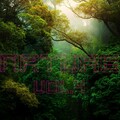 Natural White Noise Relaxation、White Noise Baby Sleep、White Noise For Babies - Melodies in the Night