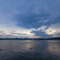 赤城青木 - 雾里