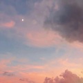 大鹅 - 新奇感飞鱼