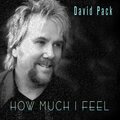 David Pack、Copyright Control - How Much I Feel