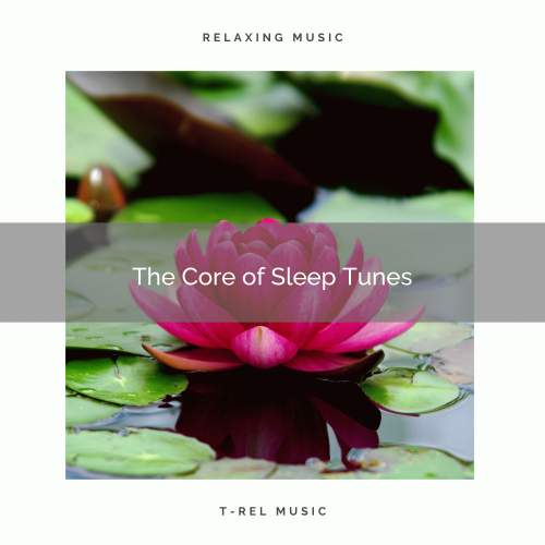 Meditation & Stress Relief Therapy - Brilliant Meditation with Perfect Forrest Noises pt. 2