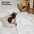 Deep Sleep Music Experience、Miracle Tones、Sleep Music - Music for sleeping people