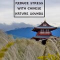 Tao Te Ching Music Zone - In the Bosom of Nature