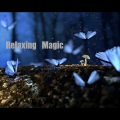 瑜珈精选音乐、Yoga Featured Music - Prelude to the Forest