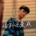 黄董艺 - 请别说爱我