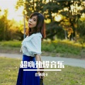 DJ水公主 - 强悍低音·嗨爆音箱DJ硬曲串烧