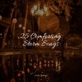 Sleeping Baby Songs、Sampling XL、Avslappning Sound - Floods of Rain