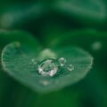 Self Care Meditation - Part XIII