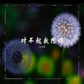 木子晴 - 青春的模样