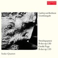 Suske-Quartett - IV. Alla danza tedesca: Allegro assai
