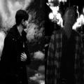 LIL SEM、Tranquil - Love Is Dead