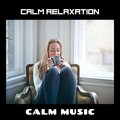 Studying Music、Sleep、Daily Calm、Study、Focus - Soft Music