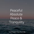 Calm Down、Sleep Music System、Música de la Naturaleza - Sleep Time