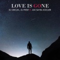 Anı Sayra Kocaer、DJ Orcun、DJ Frest - Love Is Gone