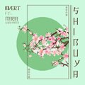 Invert、Maria Luiza Proca - Shibuya (feat. Maria Luiza Proca)