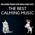 Relaxing Piano For Pets - Piano For Anxious Animals