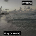 Invading - Gray (X Veela)
