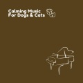 Relaxing Piano For Pets - Calm Cat
