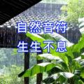 毕生难忘 - 自然睡眠音乐-宁静之美
