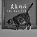张月荣 - 《小白鞋说媒》之(小喜鹊不住的叫啊叫喳喳)
