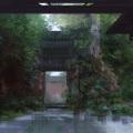 某某惠 - 梨花泽泽远山远