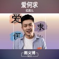 红孩儿 - 爱何求 (DJ雨义博版)