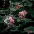 墨痕Sky - 莲殇