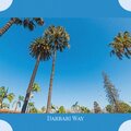 Michael Coleman - Akeboo Dreaming
