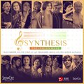 Ravi Iyer、Fazal Qureshi、Sunita Bhuyan、Sonam Kalra、Kutle Khan、Dhanashree Pandit Rai、Nathulal Solanki、Pt. Ajay Prasanna、Sridhar Parthasarthy、Ambi Subramaniam、Naviin Gandharv、Anushree Gupta、Nazir Ganaie、K.C. Loy、Vijay Chavan、Sohini RoyChowdhury、Hidayat Husain Khan、Aditi Bhagwat - Synthesis - The Indian Muse