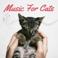 Relaxing Piano For Pets - Soothing Music For Cats