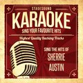 Stagesound Karaoke - Little Bird