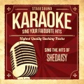 Stagesound Karaoke - Mine All Mine