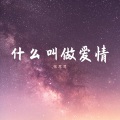 张思思 - 什么叫做爱情