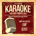 Stagesound Karaoke - Nookie