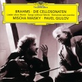 Mischa Maisky、pavel gililov - Sommerabend. Op. 85, No. 1