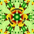 Dr. Kage、atlas - Tangerine
