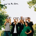 The Cardigans - You're The Storm (Sandkvie Session)