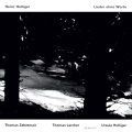 thomas zehetmair、Thomas larcher - Holliger: Lieder ohne Worte 1: III