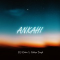 DJ Robin - Ankahi