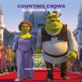 Counting Crows - Miami