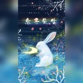君少染- - 兔子先生