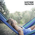 Source Vibrations、Baby Lullaby、Binaural Beats Work Music - Evergreen relaxation