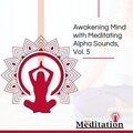 Ben Martin Meditation House - Recreation Healing