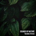 Musica relajante dormir、Deep Sleep Music Experience、Relaxing Music - Soothing Sounds os Insects