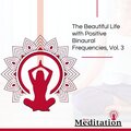 Jenifer John Meditation Collective - Intense Vibes Of Music
