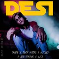 R Cruze、Bad Vikk、Mikiey、Ace Lekhak、STXLIN、Deep Harks - Desi